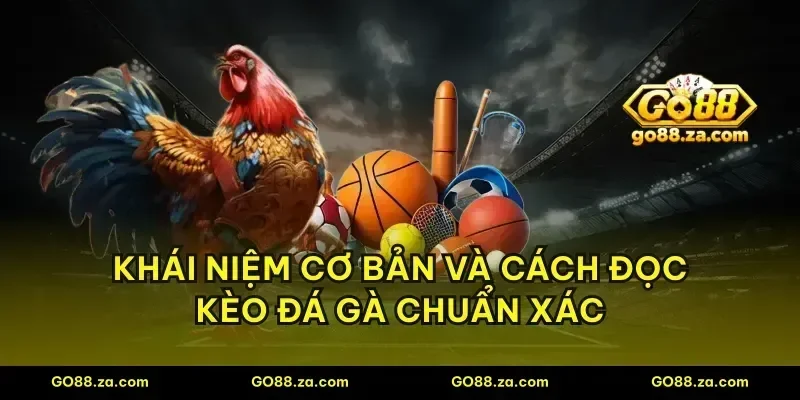 Khái niệm cơ bản và cách đọc kèo đá gà chuẩn xác
