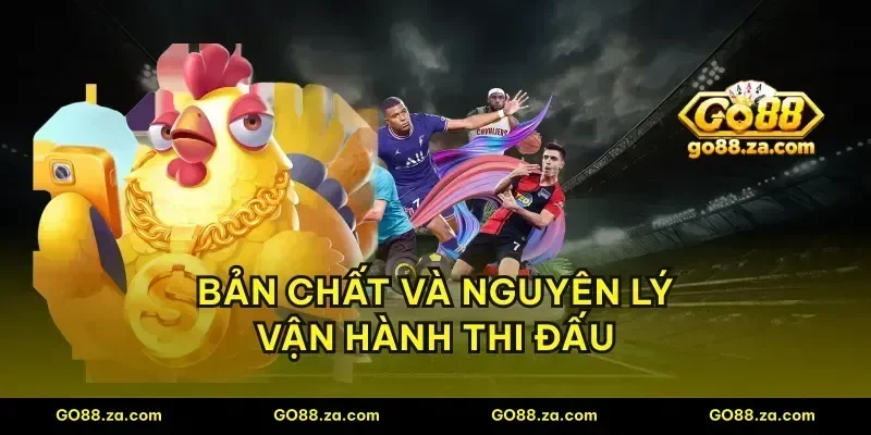 Bản chất và nguyên lý vận hành thi đấu