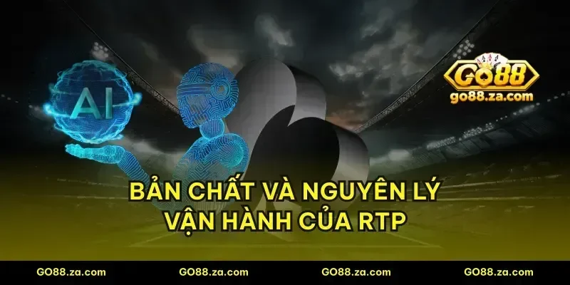 Bản chất và nguyên lý vận hành của RTP
