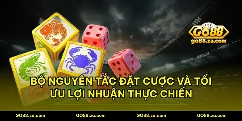 Bộ nguyên tắc đặt cược và tối ưu lợi nhuận thực chiến